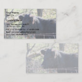 Zwarte Kabeljauw die uit de hek kijkt Visitekaartje (Voorkant / Achterkant)