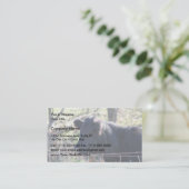 Zwarte Kabeljauw die uit de hek kijkt Visitekaartje (Staand voorkant)