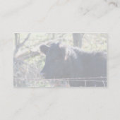 Zwarte Kabeljauw die uit de hek kijkt Visitekaartje (Achterkant)