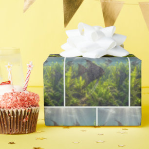 Zwarte kant engelvis in zeewier cadeaupapier