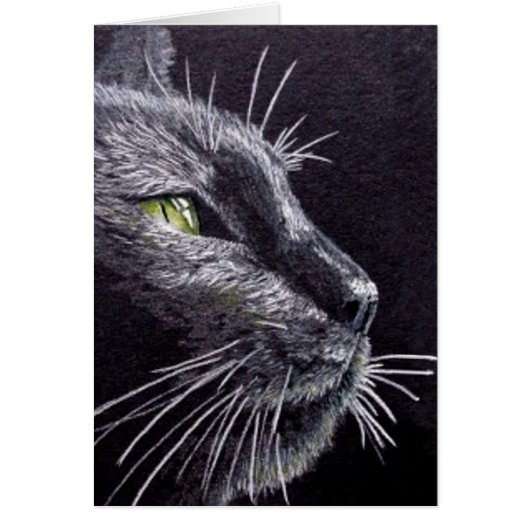 Zwarte kat (Voorkant)