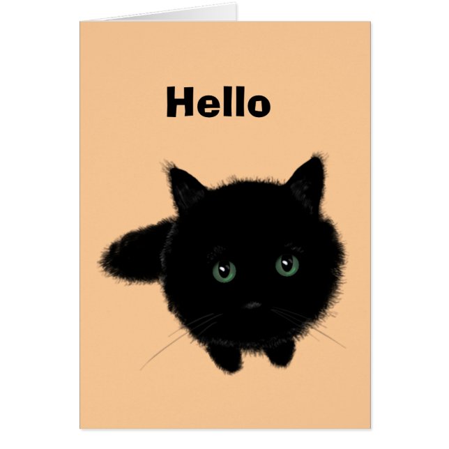 Zwarte kat (Voorkant)