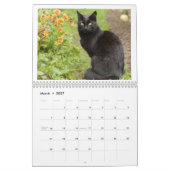 Zwarte Kat 2027 Agenda Kalender (Mar 2027)