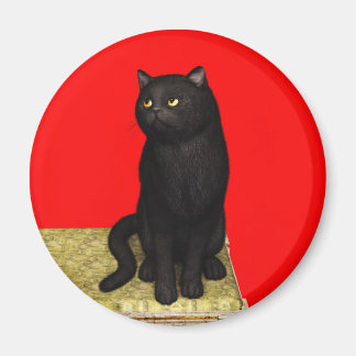 Zwarte Kat 2 Magneet