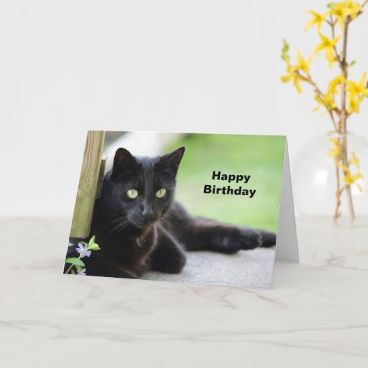 Zwarte Kat 4 Kaart (Gele Bloem)