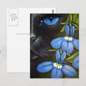 ZWARTE KAT ACHTER HET Briefkaart VAN DE LOBELIEVER (Voorkant / Achterkant)