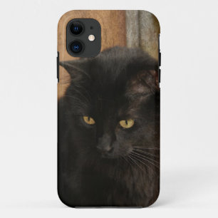 Zwarte kat, amberkleurige ogen, getextureerde aard Case-Mate iPhone case