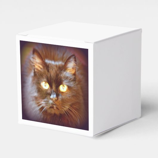 zwarte kat bedankdoosjes (Voorkant Zijde)