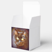 zwarte kat bedankdoosjes (Geopend)