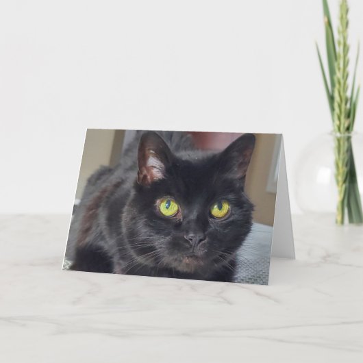 Zwarte kat bedankkaart (Voorkant)