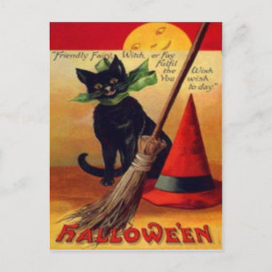 Zwarte Kat Bezem Heks Hoed Vollemaan Briefkaart