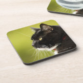 Zwarte kat bier onderzetter (Linkerzijde)