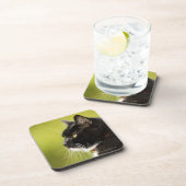 Zwarte kat bier onderzetter (Rechterzijde)