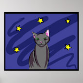 Zwarte kat bij nacht poster (Voorkant)