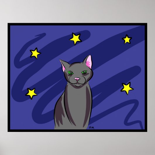 Zwarte kat bij nacht poster (Voorkant)
