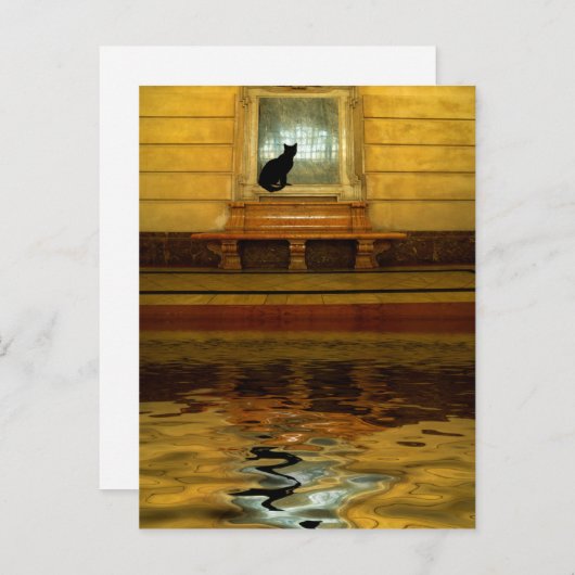 Zwarte kat boven water briefkaart (Voorkant / Achterkant)