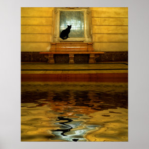 Zwarte kat boven water poster