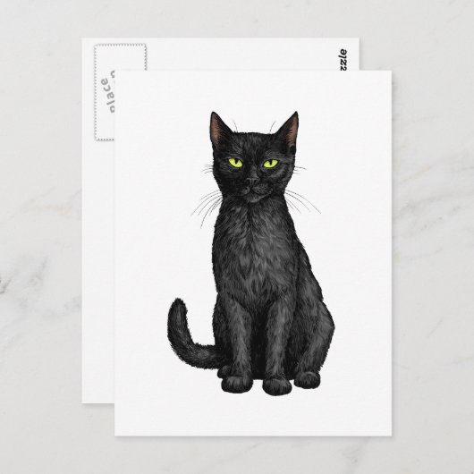 Zwarte kat briefkaart (Voorkant / Achterkant)