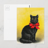  zwarte kat briefkaart (Voorkant / Achterkant)