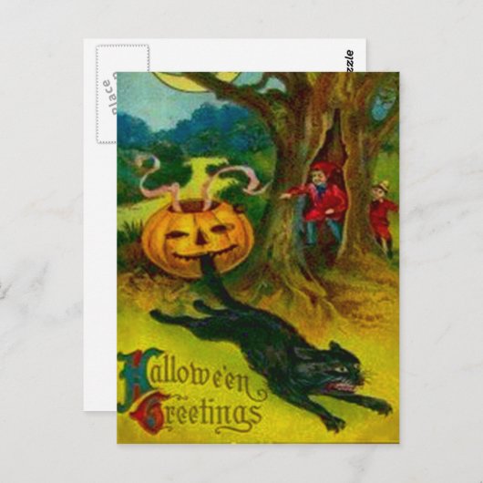 Zwarte kat briefkaart (Voorkant / Achterkant)