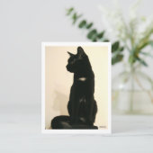 zwarte kat briefkaart (Staand voorkant)