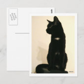 zwarte kat briefkaart (Voorkant / Achterkant)