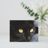 zwarte kat briefkaart (Staand voorkant)