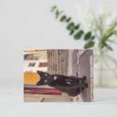 Zwarte kat briefkaart (Staand voorkant)