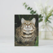 Zwarte kat briefkaart (Staand voorkant)