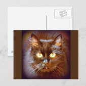 zwarte kat briefkaart (Voorkant / Achterkant)