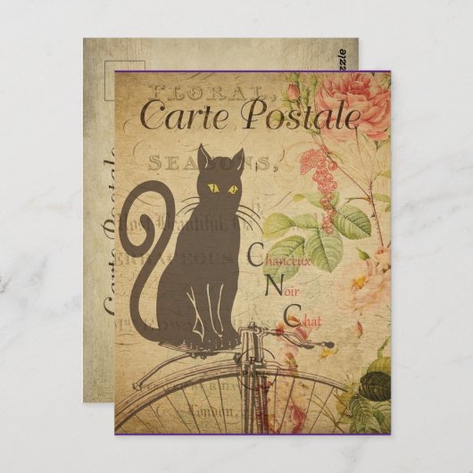  zwarte kat, briefkaart (Voorkant / Achterkant)