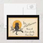  zwarte kat briefkaart (Voorkant / Achterkant)