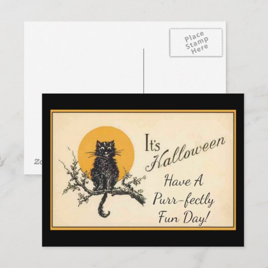  zwarte kat briefkaart (Voorkant / Achterkant)