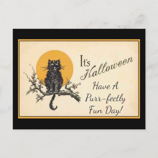  zwarte kat briefkaart (Voorkant)