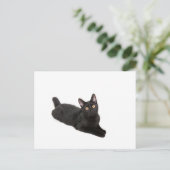 Zwarte kat briefkaart (Staand voorkant)