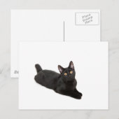 Zwarte kat briefkaart (Voorkant / Achterkant)