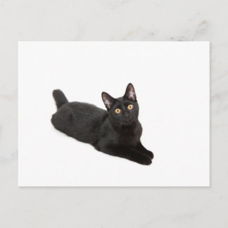 Zwarte kat briefkaart