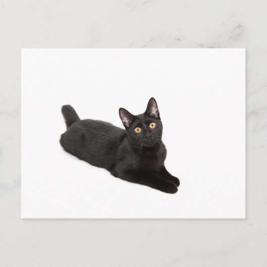 Zwarte kat briefkaart (Voorkant)