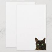 Zwarte kat briefpapier (Voorkant / Achterkant)