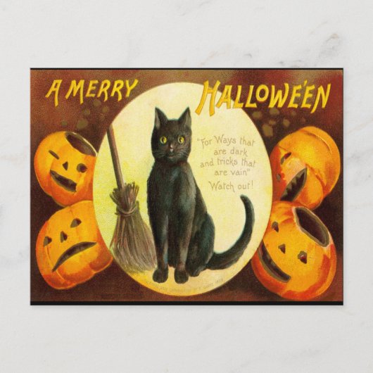  zwarte kat - broektekst halloween party Invi Uitnodiging Briefkaart (Voorkant)
