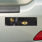 Zwarte kat bumpersticker (Op auto)