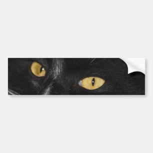 Zwarte kat bumpersticker