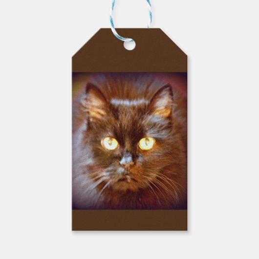 zwarte kat cadeaulabel (Voorkant)