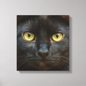 Zwarte kat canvas afdruk (Voorkant)