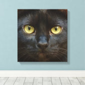 Zwarte kat canvas afdruk (Insitu (Houten vloer))