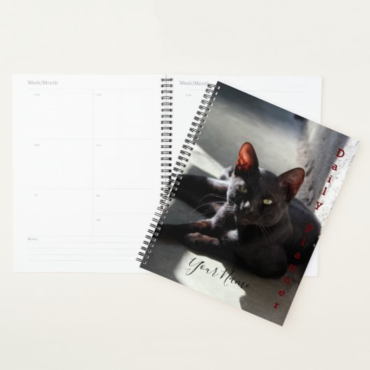 Zwarte kat - Daily Planner - HAMbWG (Display)