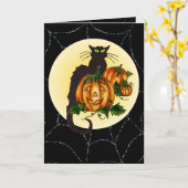 ZWARTE KAT, DE HEFBOOM VAN DE POMPOEN & WEB DOOR KAART (Gele Bloem)