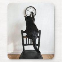 Zwarte Kat die de Tijd Verandert 