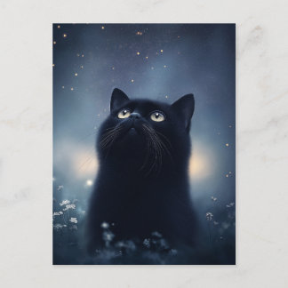 Zwarte Kat die omhoog staart naar de sterrenhemel Briefkaart