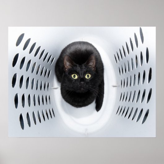 Zwarte kat die opkijkt uit een witte washamer poster (Voorkant)